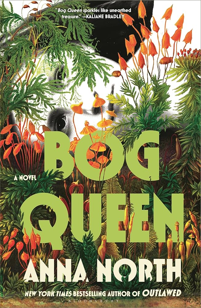 Bog Queen: A Novel cover image