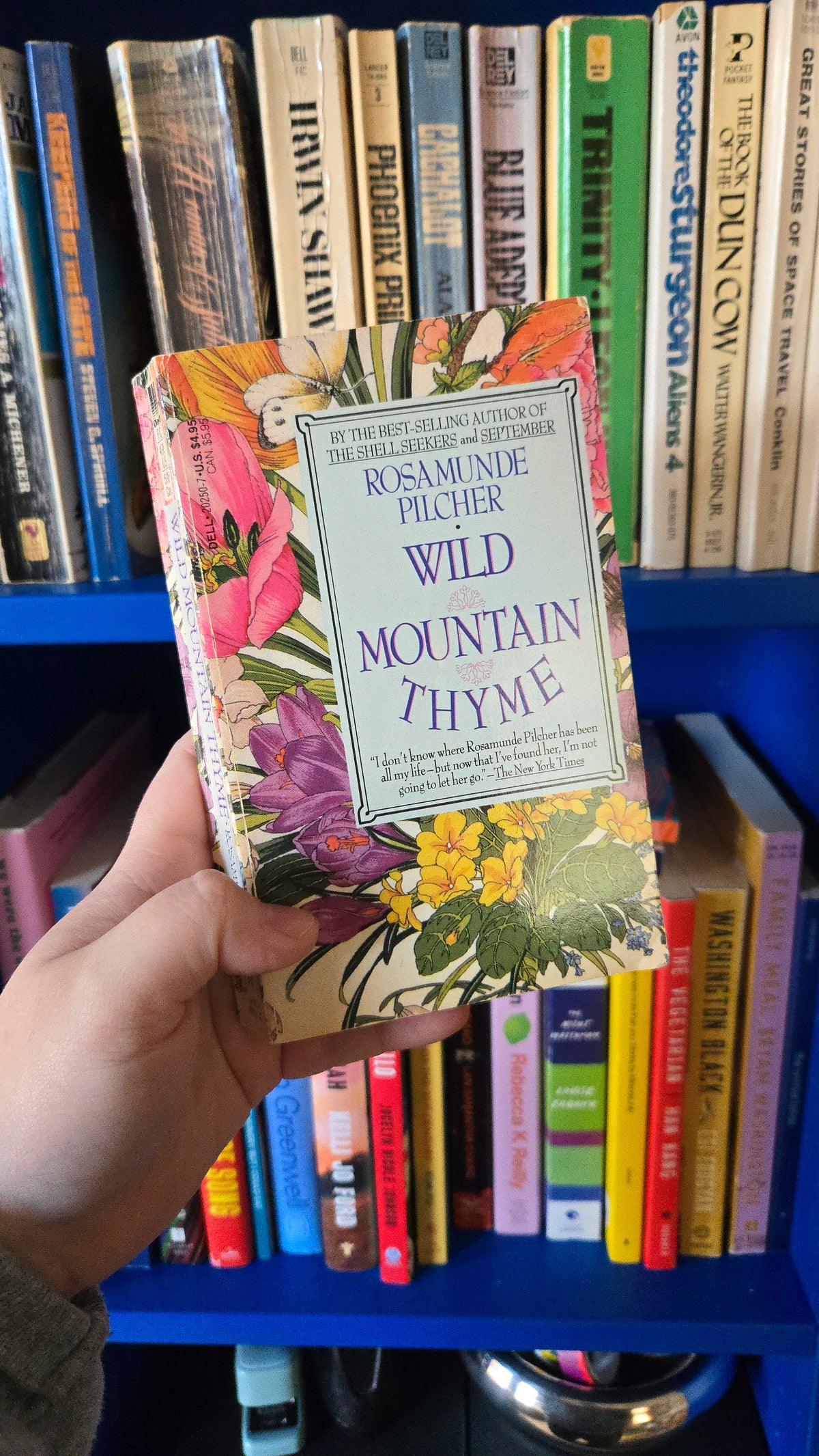 Wild Mountain Thyme
