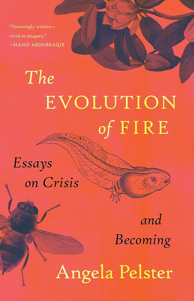 The Evolution of Fire: Essays on Crisis and Becoming cover image