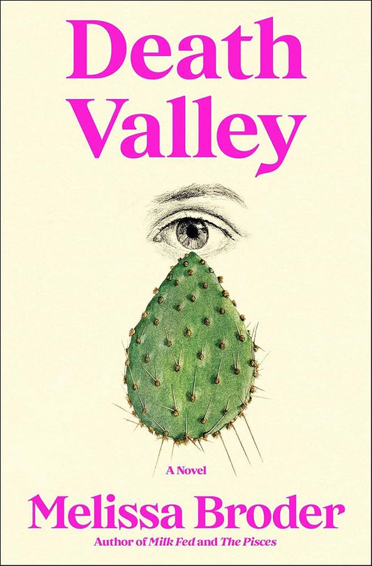 Death Valley: A Novel cover image