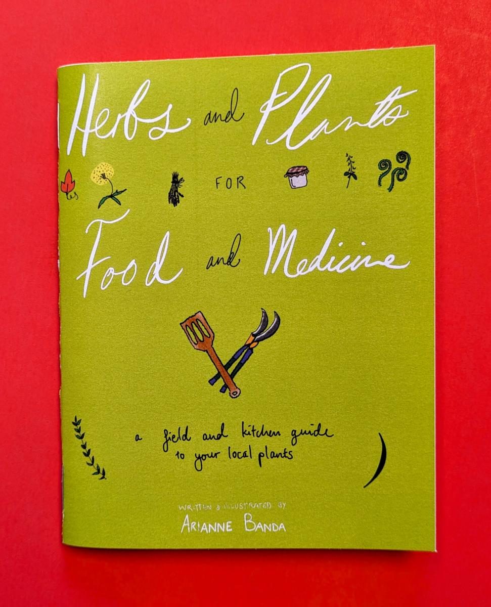 Herbs and Plants for Food and Medicine: A Field and Kitchen Guide to Your Local Plants (Zine)