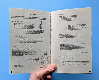 Chickweed: Edible Weeds and Herbalism