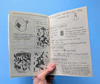 Chickweed: Edible Weeds and Herbalism