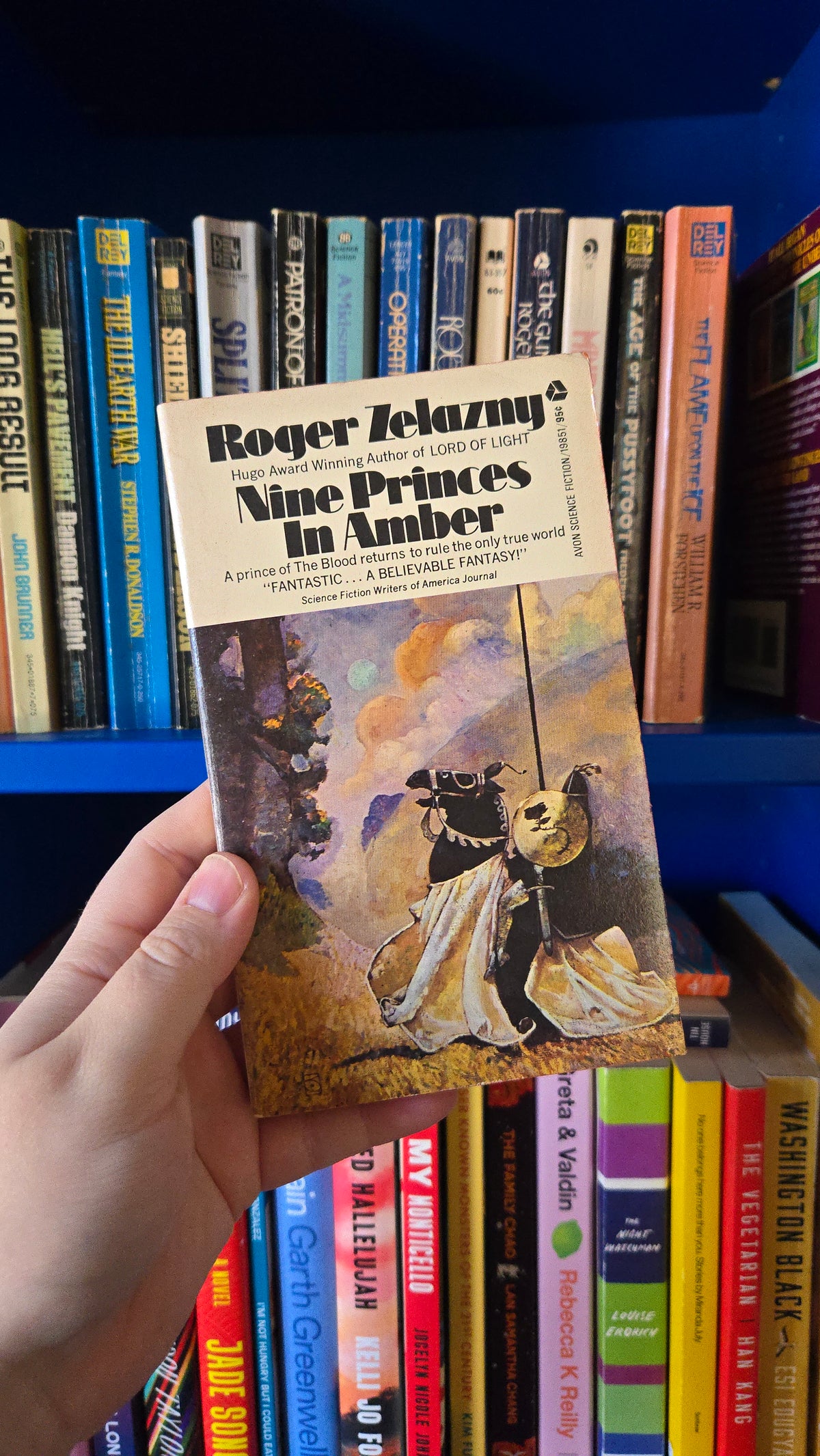 Nine Princes in Amber