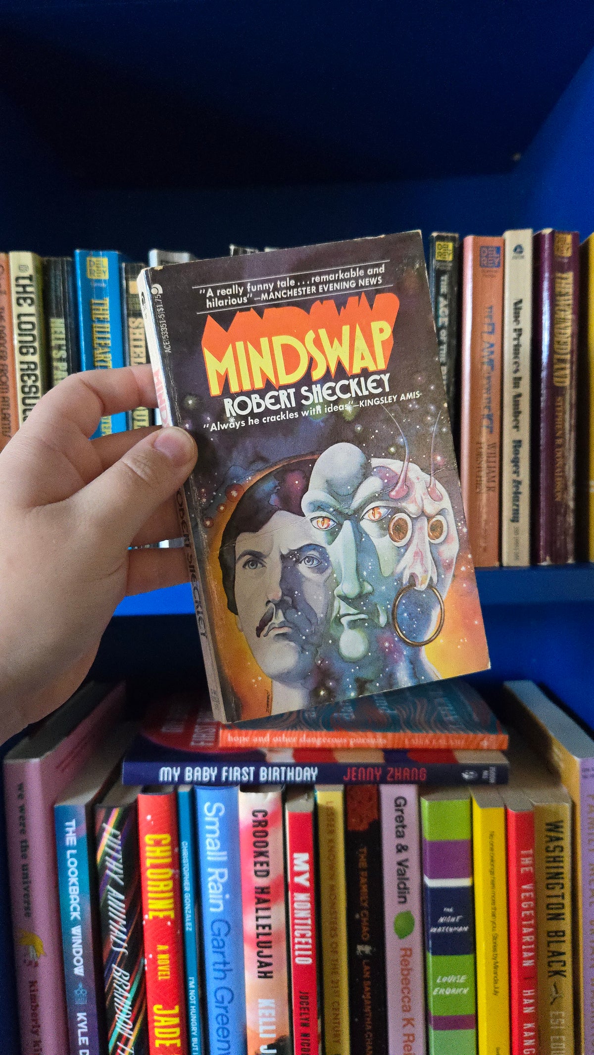 Mindswap