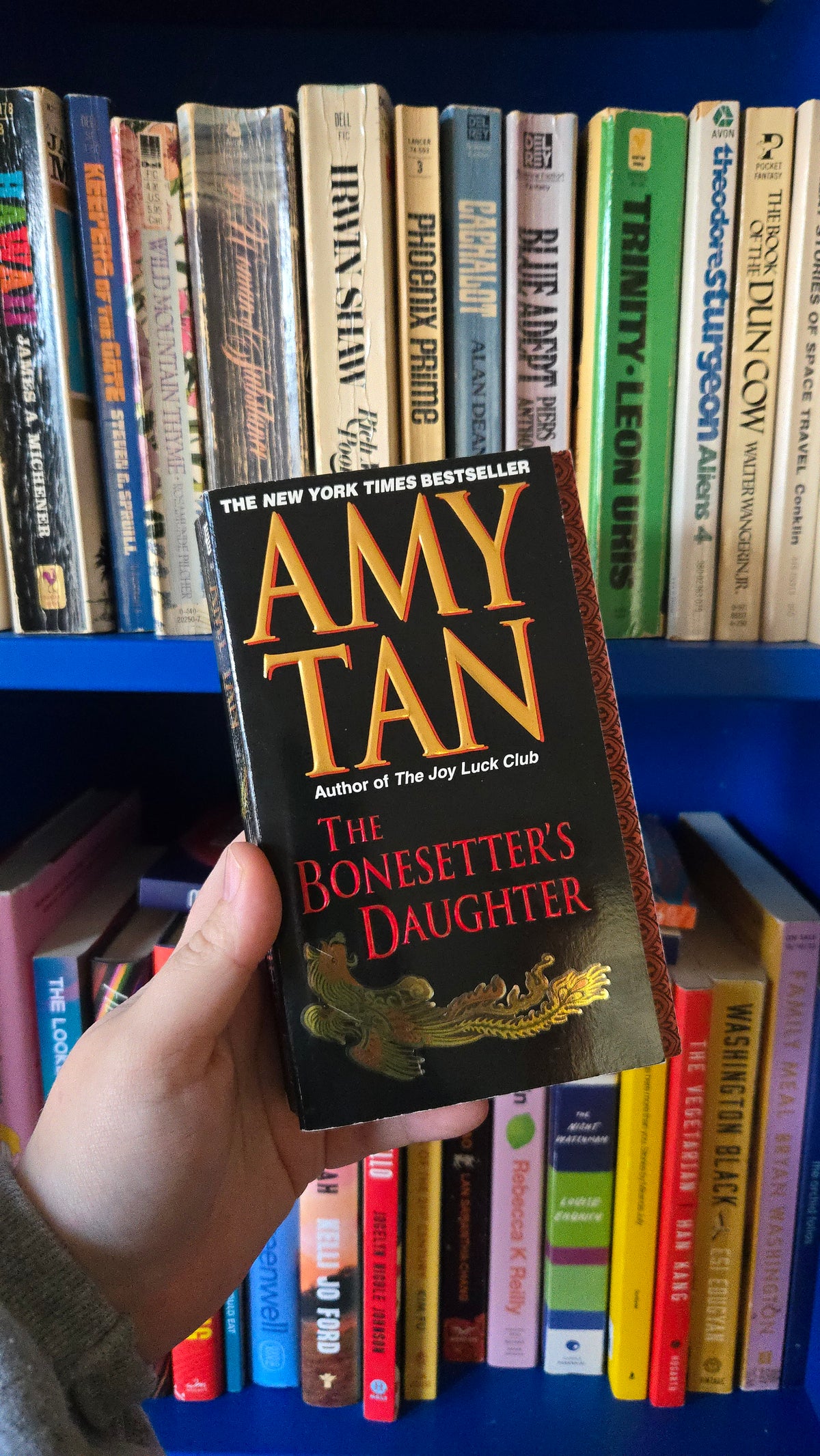 The Bonesetter's Daughter