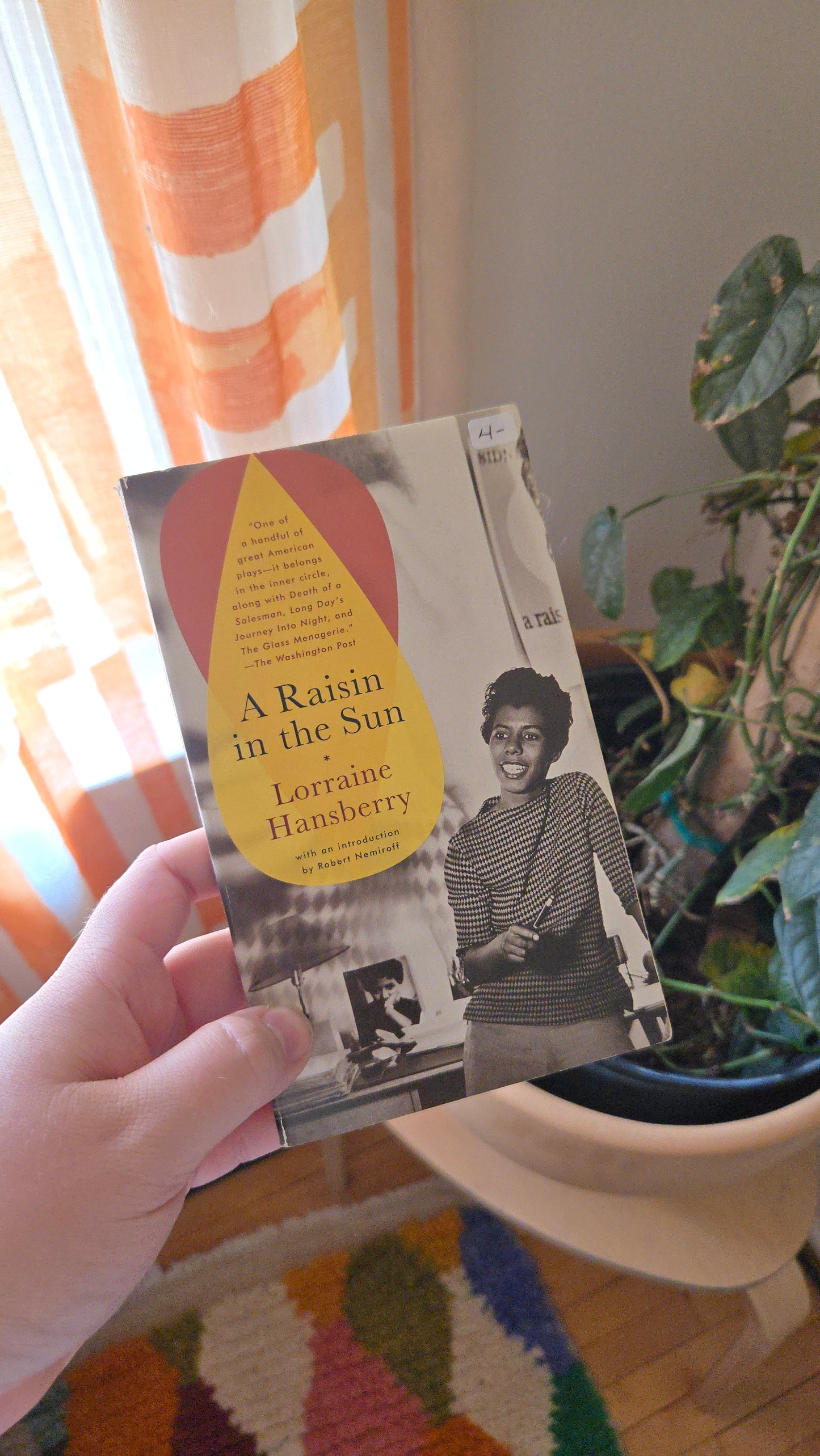 A Raisin in the Sun